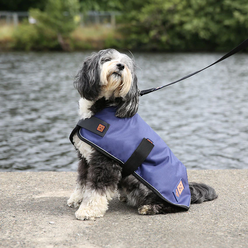 Adventure Ready Breed Specific Gear